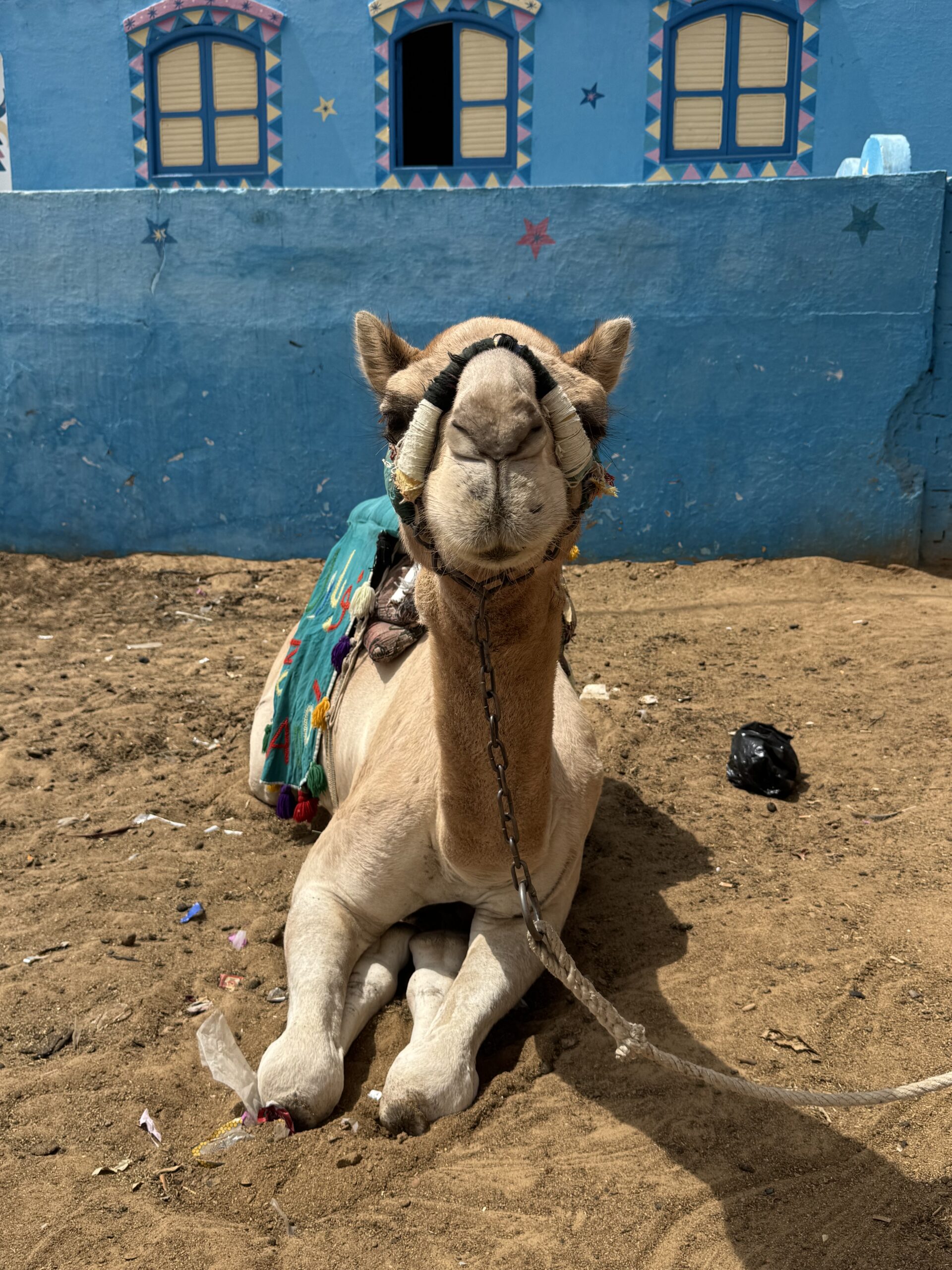 13 days temple awakening retreat