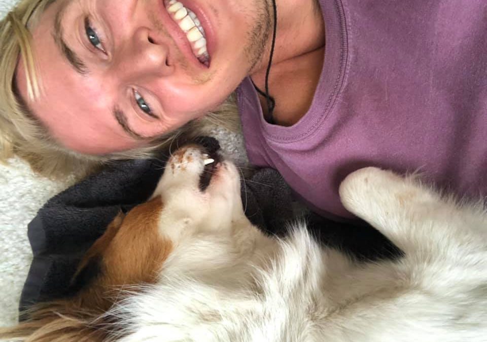 liefde is overal