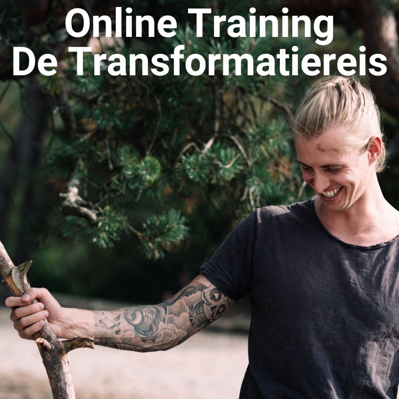 Online Training De Transformatiereis