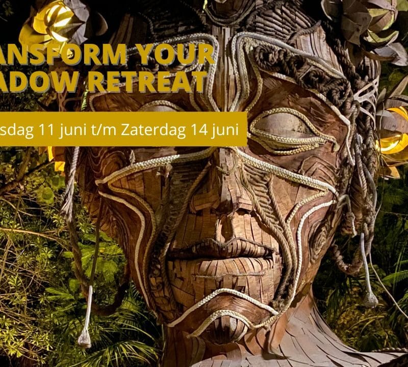 4-Daagse Next Evolution Shadow Retreat
