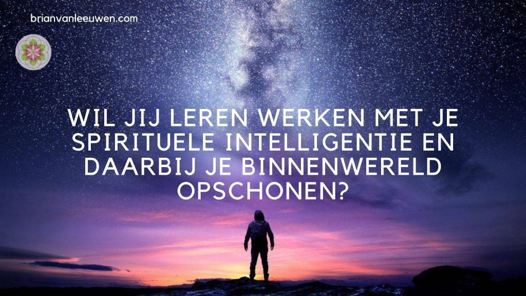 Wil jij leren werken met je spirituele intelligentie en je binnenwereld opschonen
