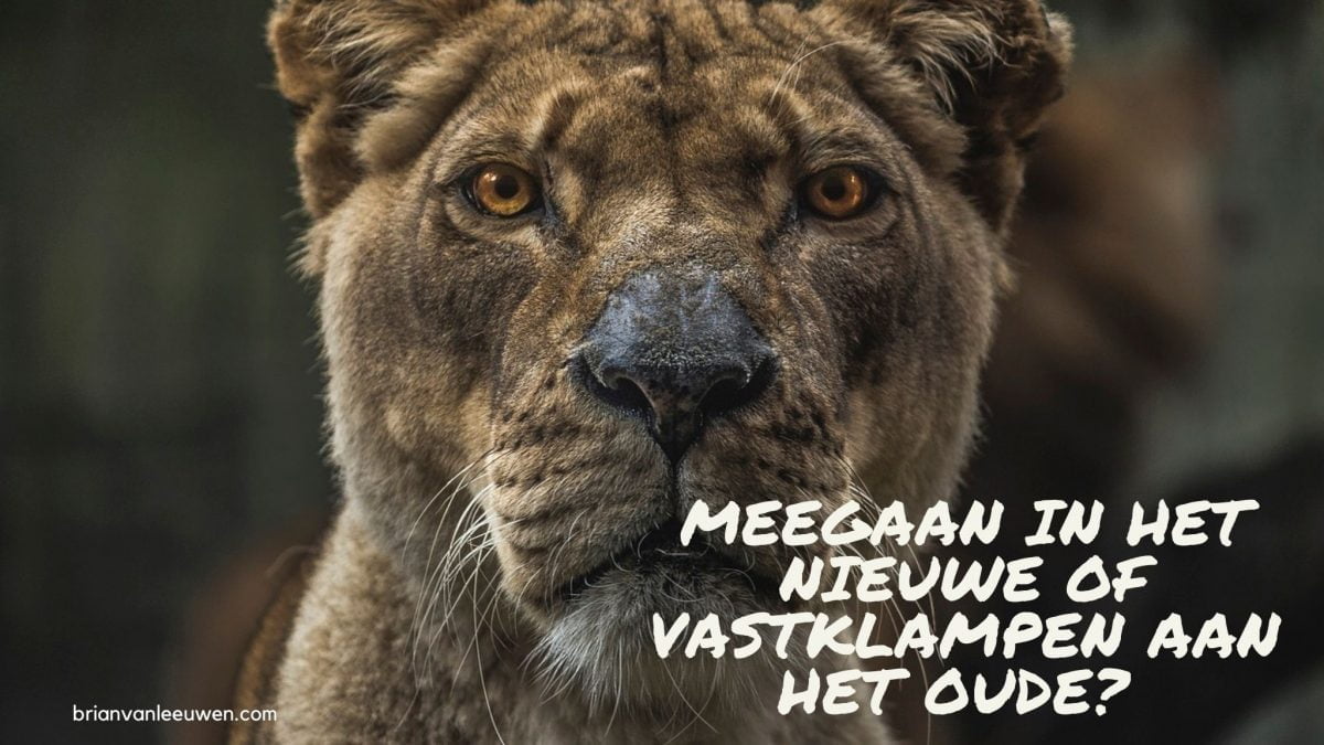 meegaan in het nieuwe