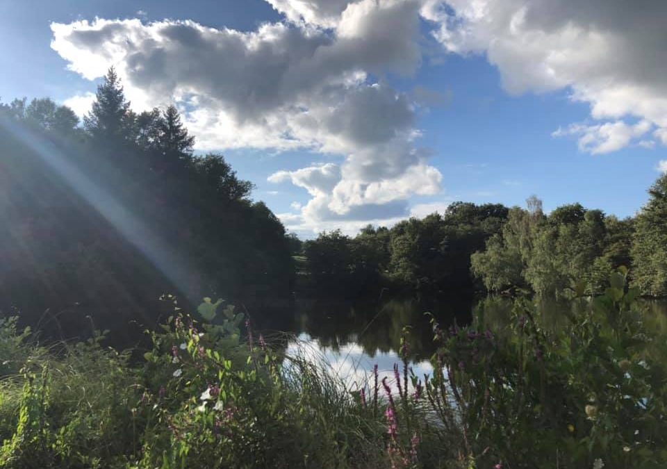 podcast show starten